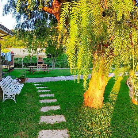 Al Boschetto Acomodação com café da manhã Melizzano Exterior foto