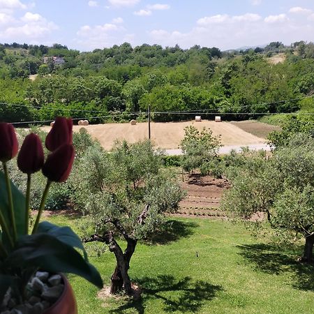 Al Boschetto Acomodação com café da manhã Melizzano Exterior foto