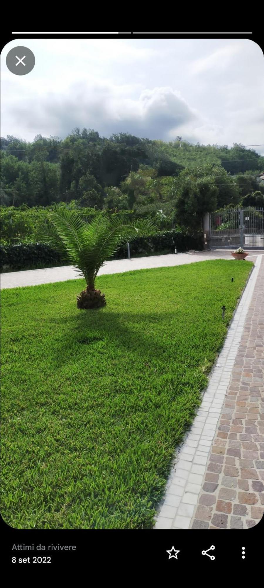 Al Boschetto Acomodação com café da manhã Melizzano Exterior foto